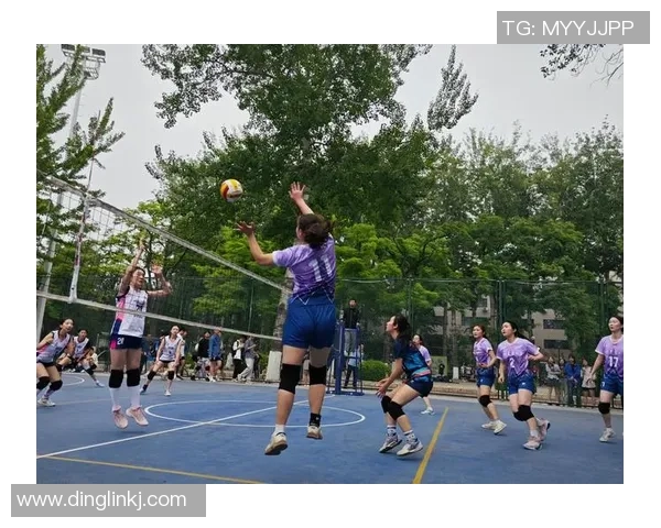 北京排球队在城市联赛中的耐力表现分析与点评