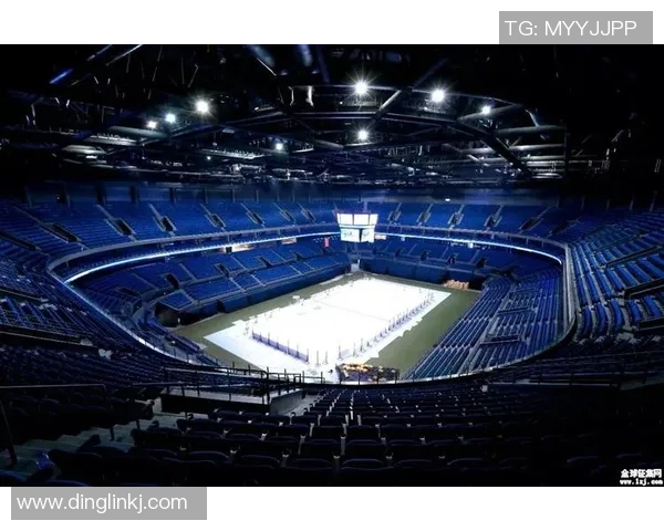 南京羽毛球队运营策略深度分析与发展前景展望