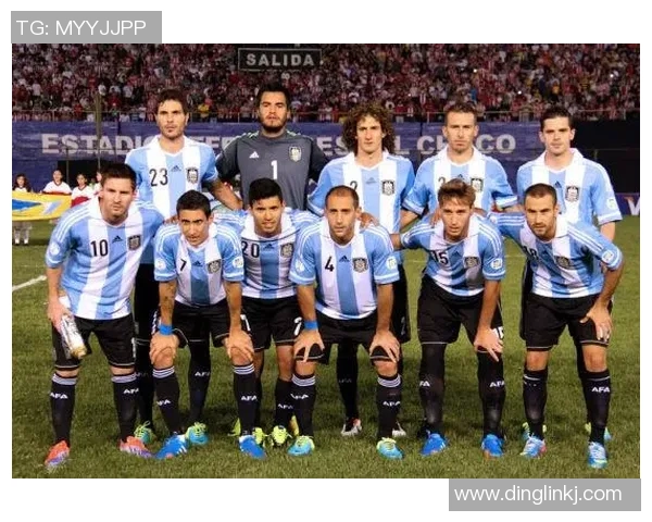 埃及足球明星的辉煌历程与成就解析