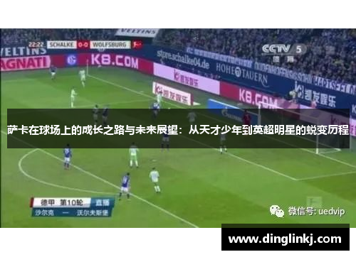 萨卡在球场上的成长之路与未来展望：从天才少年到英超明星的蜕变历程