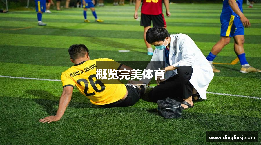 概览完美体育